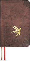 Agenda 2010 personnalis&eacute; (Maxi de poche)