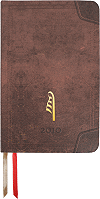 Agenda 2010 personnalis&eacute; (Maxi de poche)