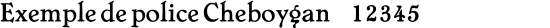 police Cheboygan